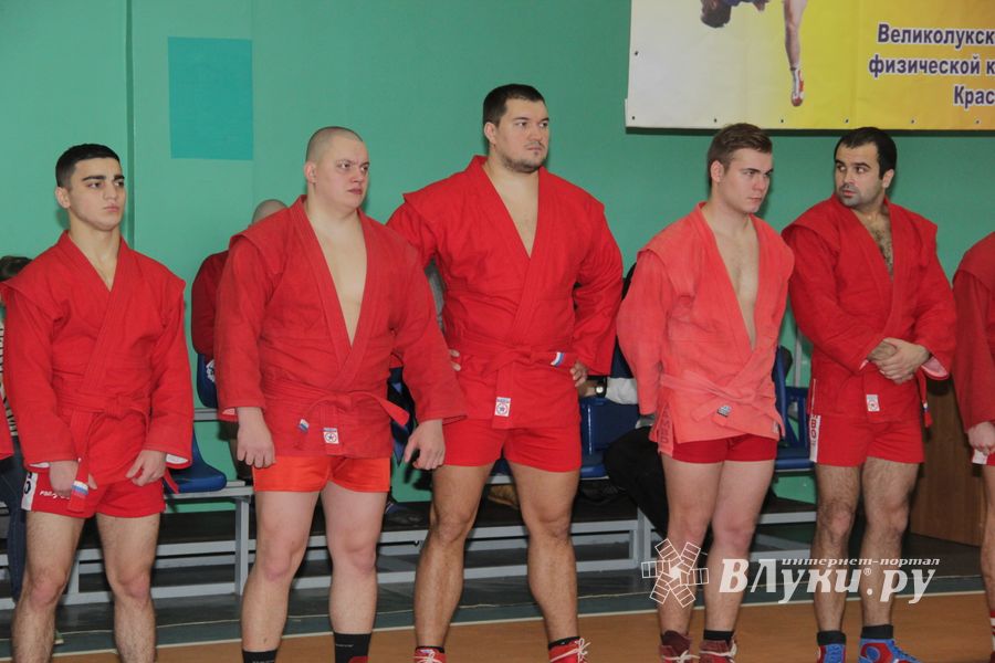 В Великих Луках прошел турнир по самбо, посвященный подвигу Александра Матросова (ФОТО)