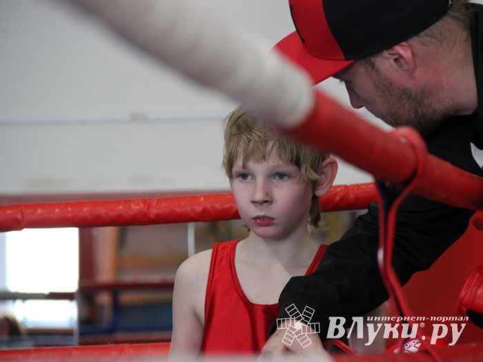 Юные великолучане выявили сильнейших боксёров (ФОТО)