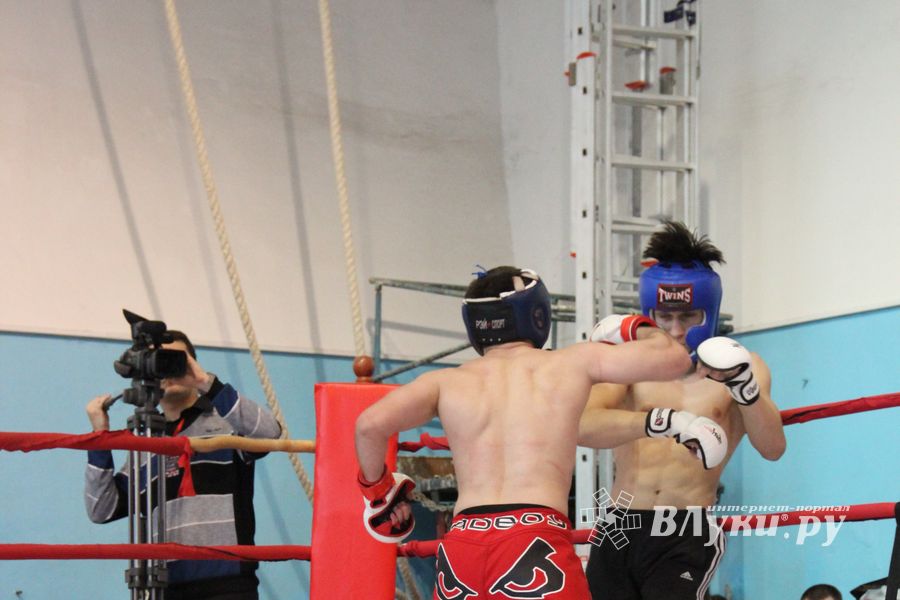 Открытый Кубок города Великие Луки по смешанному боевому единоборству (ММА)