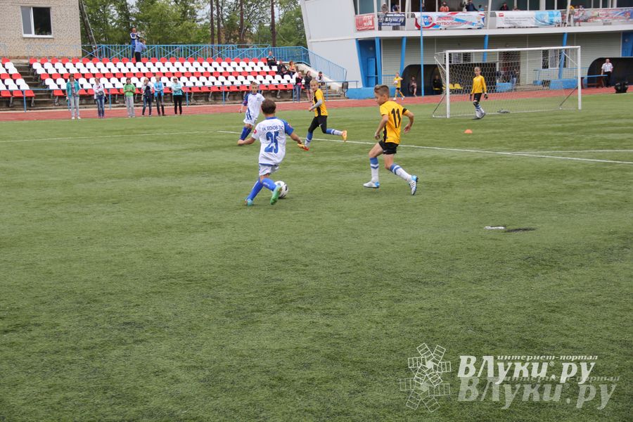 В Великих Луках состоялся Всероссийский турнир «Загрузи себя футболом» (фото)