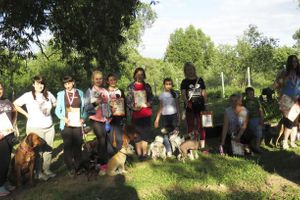 В Великих Луках прошли спортивные соревнования среди собаководов (ФОТО)