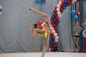 ​В Великих Луках прошли соревнования по художественной гимнастике (ФОТО)
