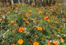 Вероятность осадков на Северо-Западе будет небольшой.