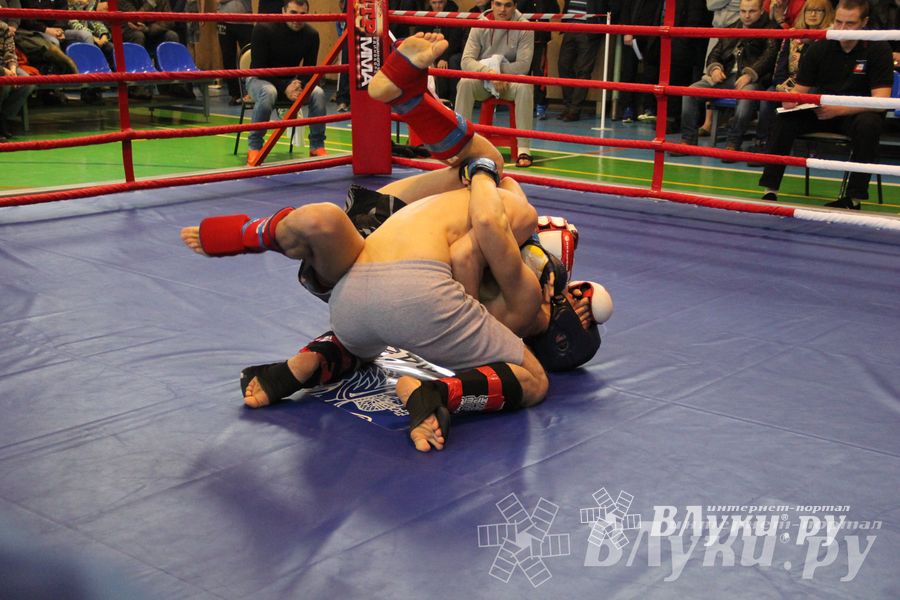 В Великих Луках прошел межрегиональный Открытый Кубок по смешанному боевому единоборству (фото)