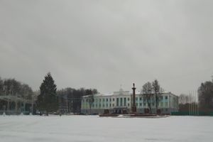 Главную новогоднюю ёлку в Великих Луках нарядили к праздникам (ФОТО)