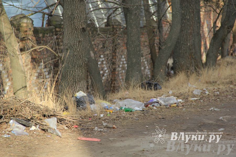 Город в ожидании субботника