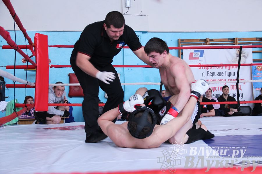 Открытый Кубок города Великие Луки по смешанному боевому единоборству (ММА)