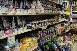 «Zooбастики»: подарите праздник своим любимцам! (ФОТО+ВИДЕО)