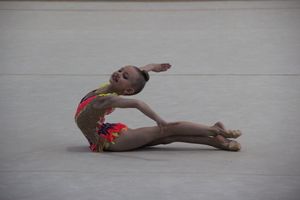 ​В Великих Луках прошли соревнования по художественной гимнастике (ФОТО)