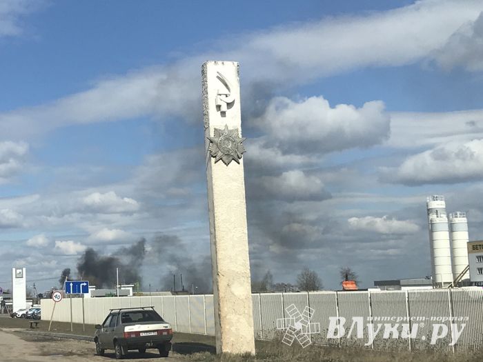 В Псковской области возобновились палы травы (ФОТО)