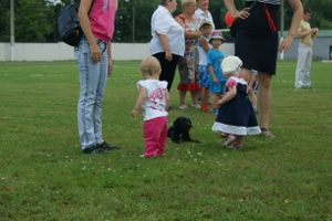 5 августа великолучане отмечают День желазнолорожника