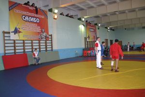 Состоялось открытие Всероссийского турнира по самбо среди мужчин, посвященного подвигу Александра Матросова 