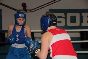 Открытое первенство по боксу прошло в Великих Луках (ФОТО)