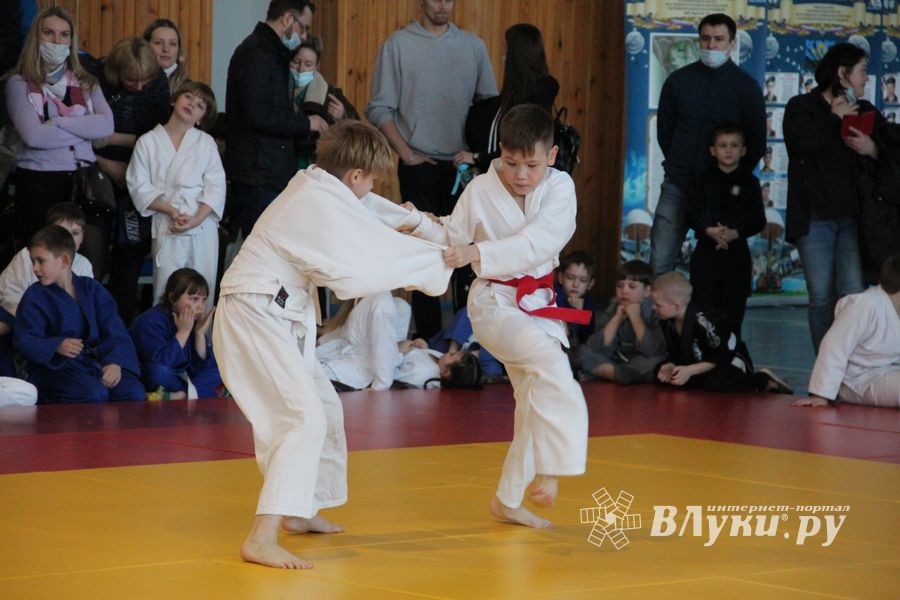 Фестиваль боевых искусств прошел в Великих Луках (ФОТО)