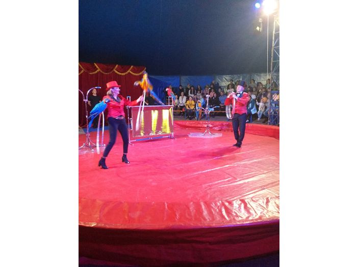 Великолучанка пожаловалась на цирк (ФОТО)