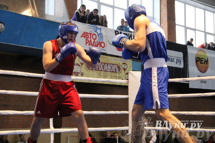 16-й Международный турнир по боксу (фото)