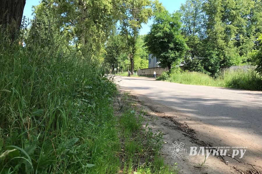 Трава у дома (ФОТО)