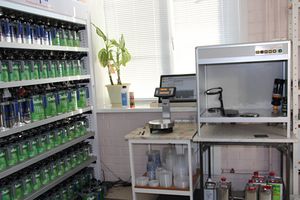 Пора добавить в жизнь красок! (ФОТО)