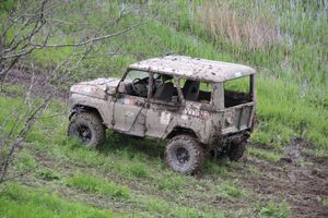 Кураж (ФОТО)