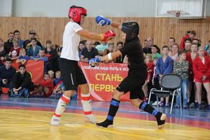 1-й Фестиваль боевых искусств состоялся в Великих Луках  (ФОТО)