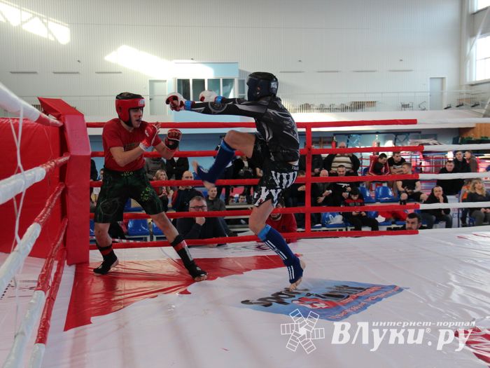 В Великих Луках завершился открытый кубок по смешанному боевому единоборству ММА (ФОТО)