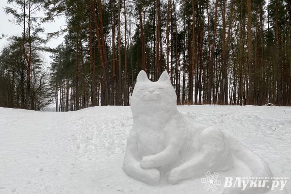 Прогноз погоды на 9 декабря в Великих Луках