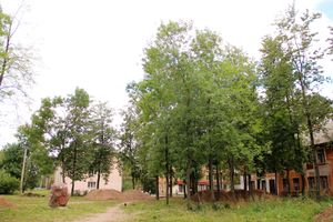 Старый камень в новом сквере (ФОТО)