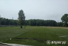 Дятлинка готовит футболистам подарок (ФОТО)