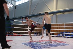 В Великих Луках завершился открытый кубок по смешанному боевому единоборству ММА (ФОТО)