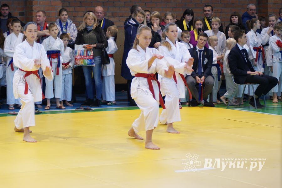 В Великих Луках прошли соревнования по каратэ (ФОТО)