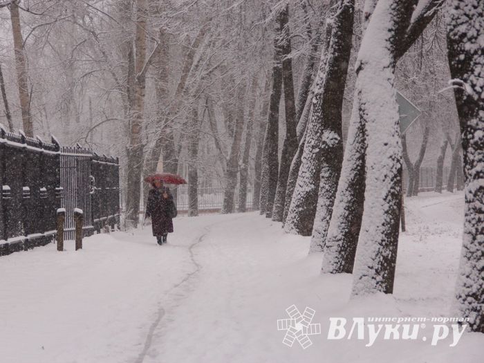 В Великих Луках снегопад и «день жестянщика» (фото)