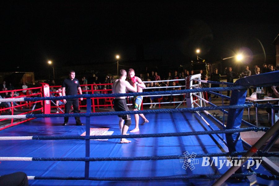 В Великих Луках прошли бои по смешанным боевым единоборствам ММА (фото)
