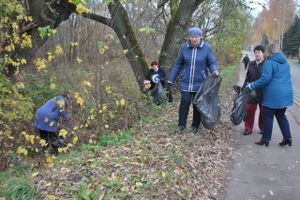 Коллектив Лицея №10 провёл субботник (ФОТО)