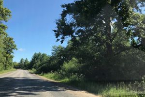 Трава у дома (ФОТО)