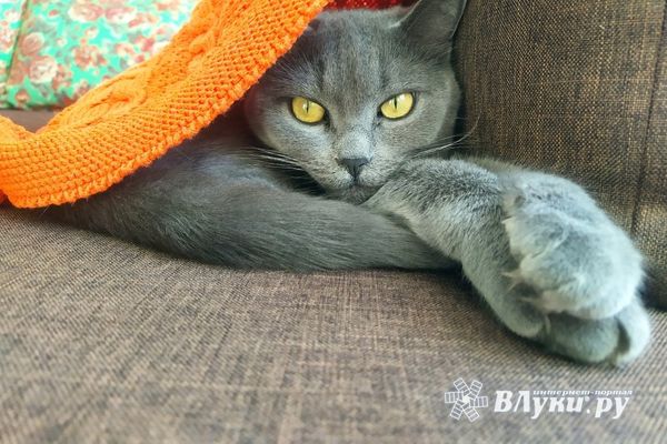 Прогноз погоды в Великих Луках на 3 января