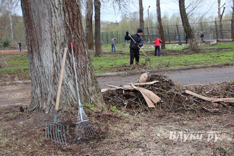 На острове Дятлинка проходит субботник