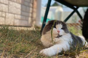 © ВЛуки.ру