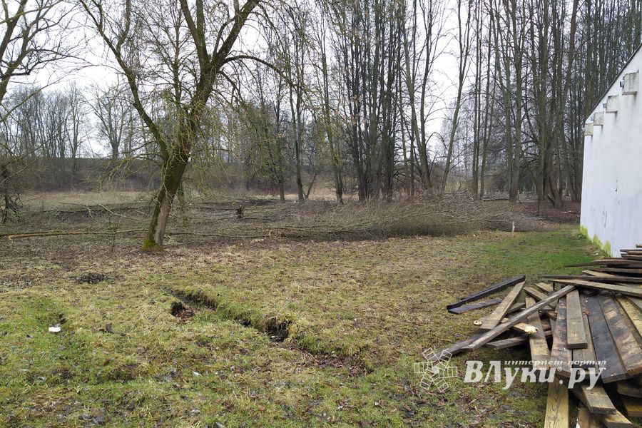 В Великих Луках приступили к строительству парка «Петровский» (ФОТО)