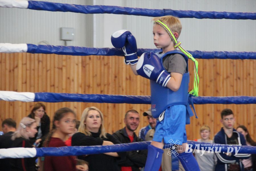 1-й Фестиваль боевых искусств состоялся в Великих Луках  (ФОТО)