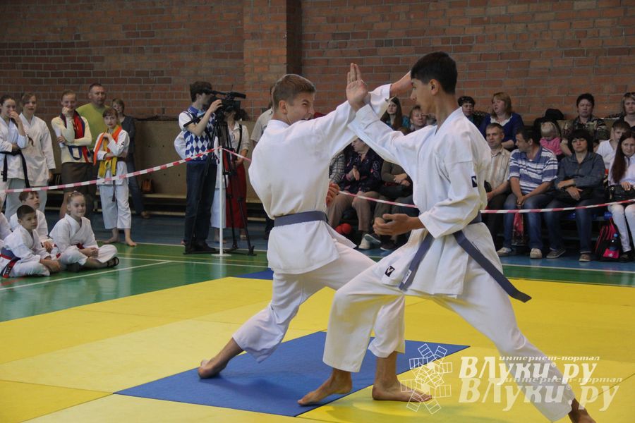 Великолучане стали победителями турнира по каратэ «Неприкосновенный запас, дети — Отчизны 2015» (фото)