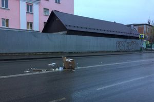 Неопознанный валяющийся объект «украсил» дорогу в Великих Луках.