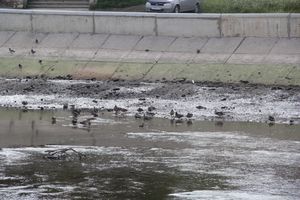 Куда утекла Ловать (ФОТО)