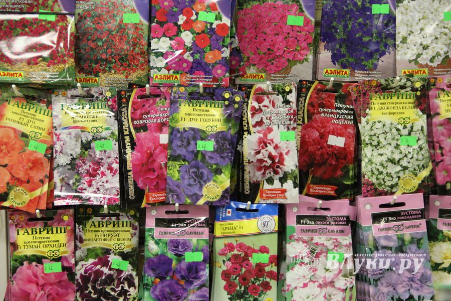 В ДК ЛК открылась 7-я Великолукская универсальная выставка (ФОТО, ВИДЕО)