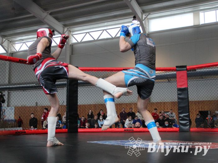 В Великих Луках прошел кубок по смешанному боевому единоборству (ФОТО)