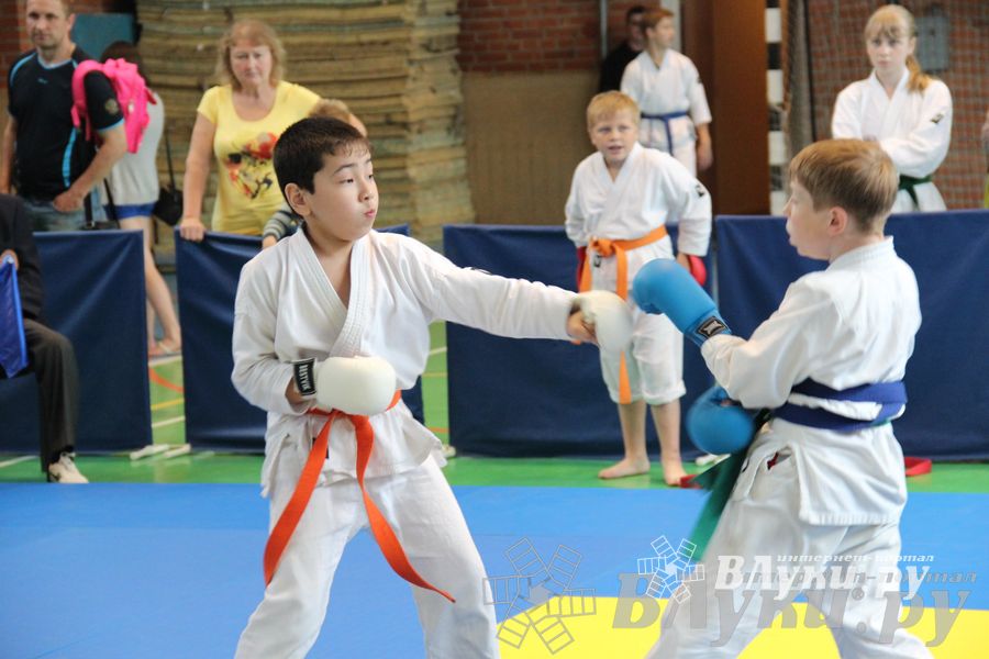 Турнир по каратэ «Неприкосновенный запас — дети Отчизны»