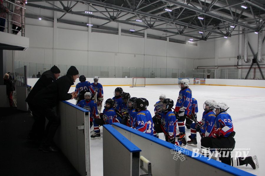 В Великих Луках прошел детский Открытый турнир по хоккею (ФОТО)