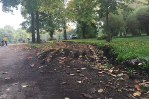 В центральном парке Великих Лук продолжаются ремонтные работы (фото)