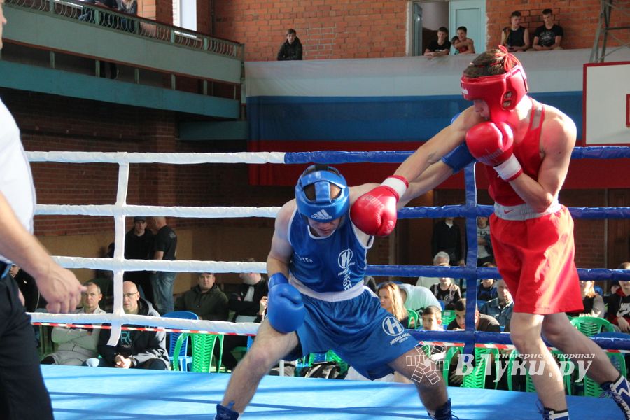 В Великих Луках прошел турнир по боксу памяти Е. Клевцова (ФОТО)