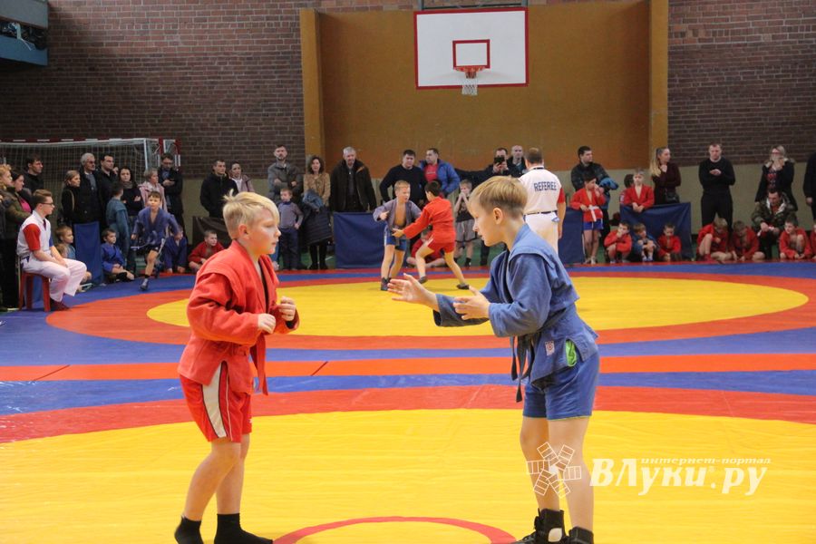 В Великих Луках проходит турнир самбистов (ФОТО)