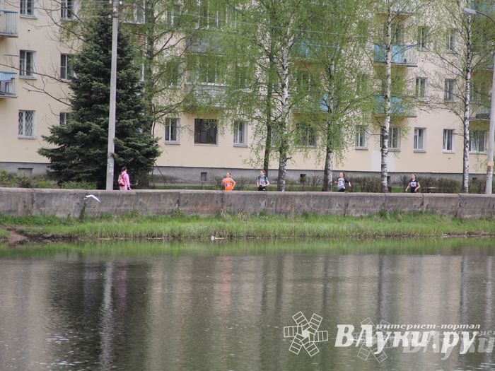 В Великих Луках прошла весенняя городская эстафета (фото)